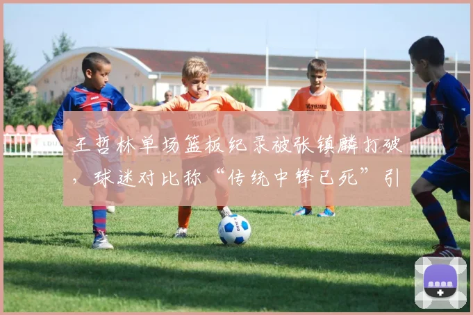 王哲林单场篮板纪录被张镇麟打破,球迷对比称“传统中锋已死”引发论战